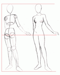 Женская анатомия